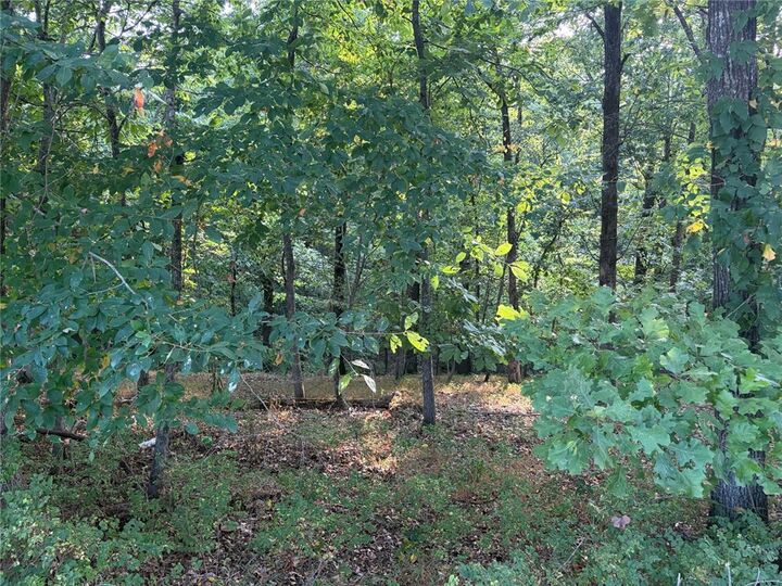 Property Photo:  Panorama Road  AR 72758 