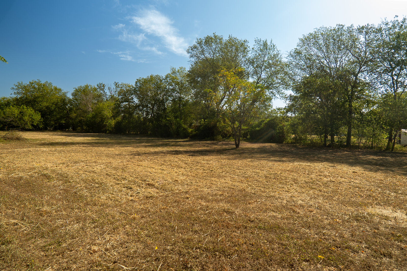 Property Photo:  904 Linden Street  TX 78602 