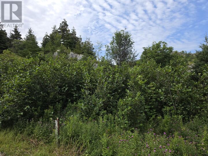Property Photo:  20 John Noels Hill  NL A0A 1K0 