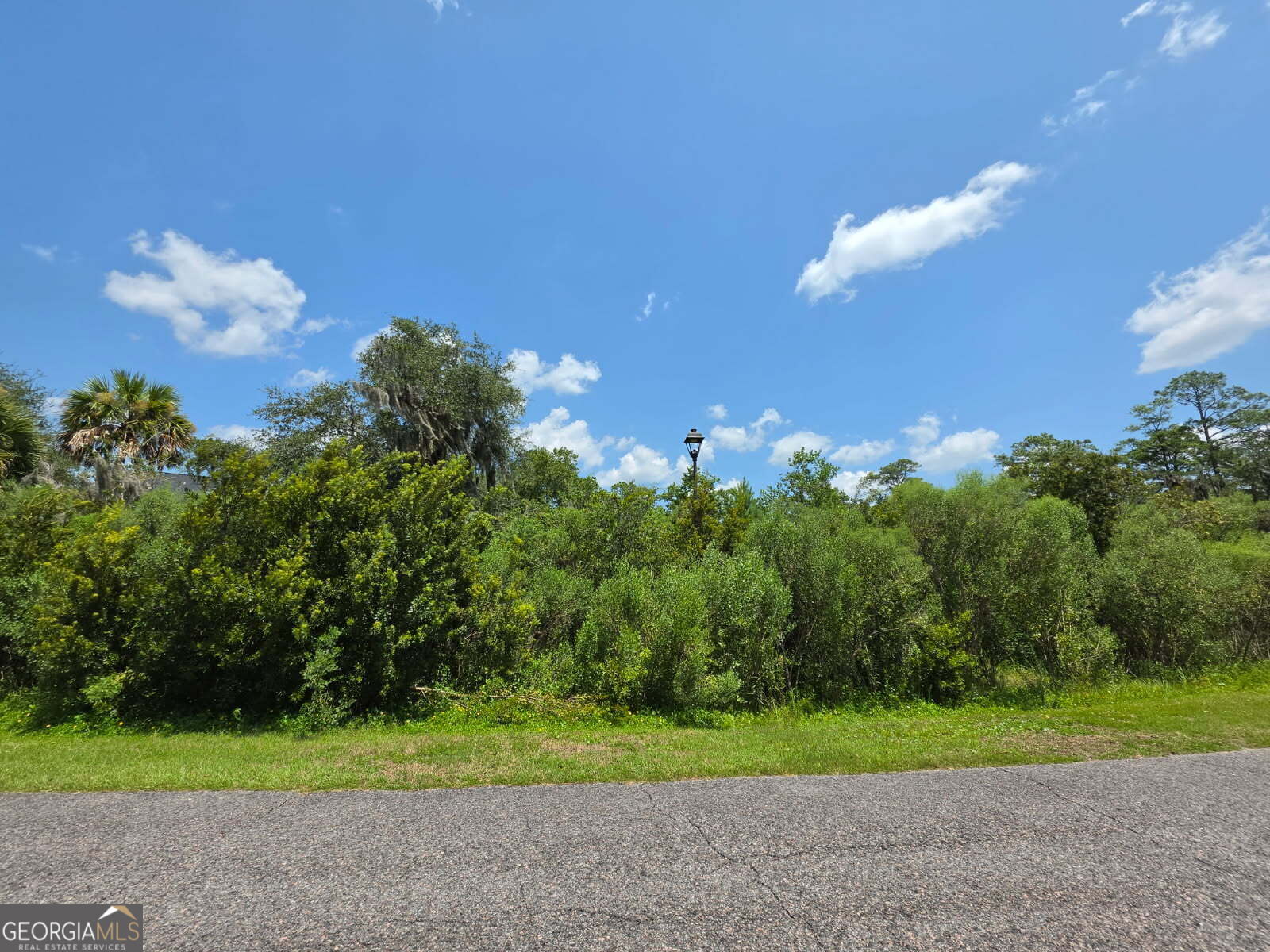 Property Photo:  902 Riverview East Drive  GA 31558 