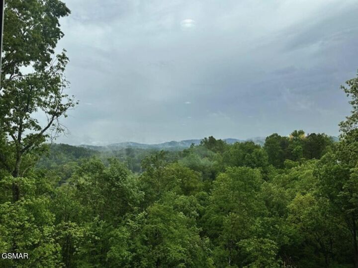 Property Photo:  4222 Dollys Drive  TN 37876 