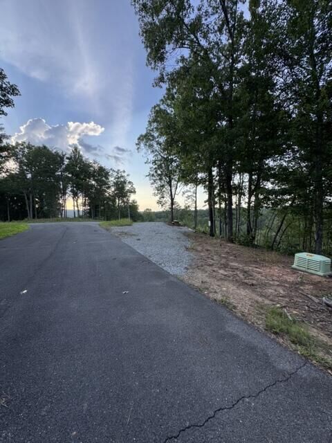Property Photo:  290 Eagle View Drive  GA 30540 