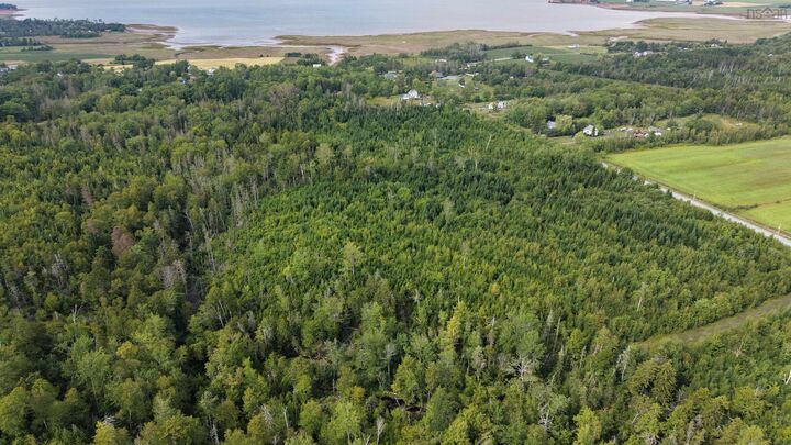 Property Photo:  Lot M14 Lake Road  NS B0N 1T0 