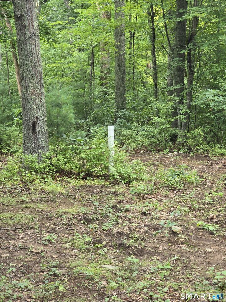 Property Photo: 30 Blackledge Drive CT 06447