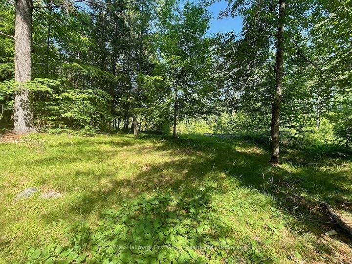 2495 Flinton Road — photo 1