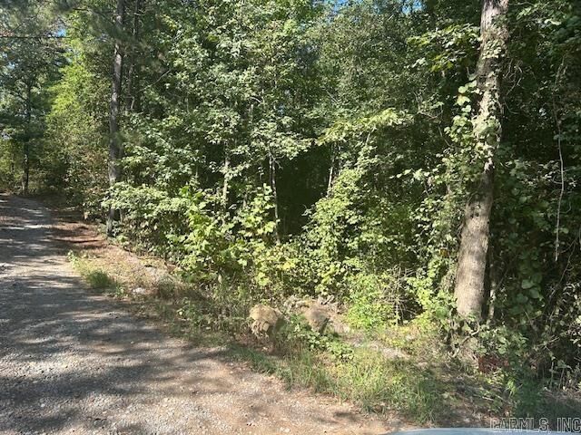 Property Photo: 000 Shaw Bridge Road AR 72015