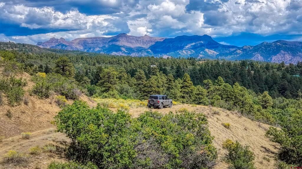 Property Photo:  2816 Running Horse Place  CO 81128 