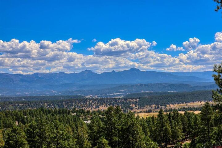 Property Photo:  122 Yarrow Circle  CO 81147 