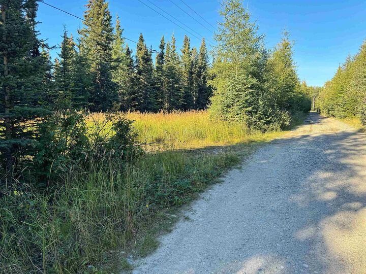 Property Photo:  3567 Nistler Road 3567 Kusz Way/ Emmaus Road  AK 99737 