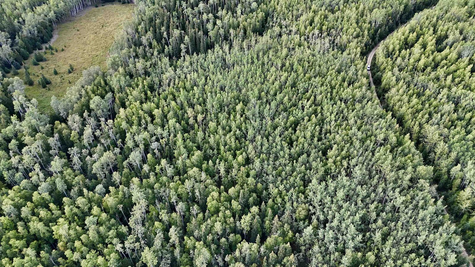 Property Photo:  L39 Cathy Lane  AK 99737 