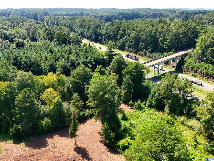 Property Photo:  Unkn County Road 18 1  AL 36264 