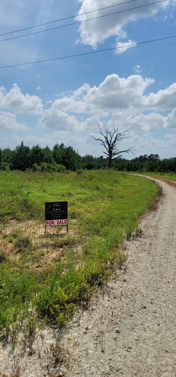 Property Photo: 315 Polk TX 75851
