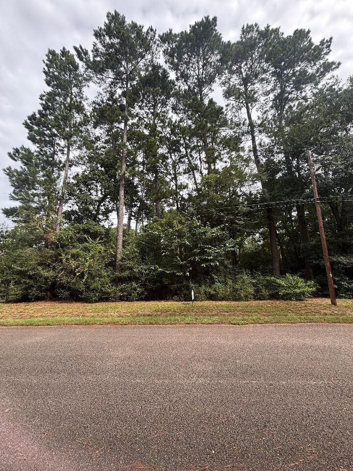 Property Photo: Lot 126 Fantail Street TX 77355