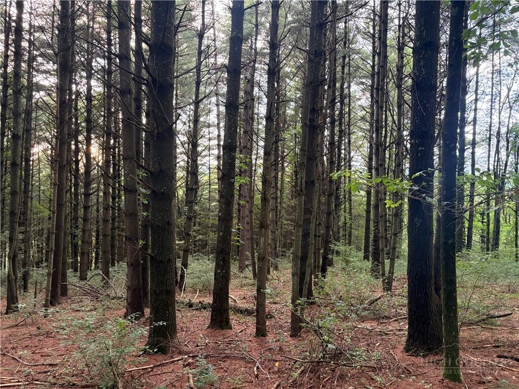 Property Photo:  Lots 12-14 Friendly Lane  NC 28623 
