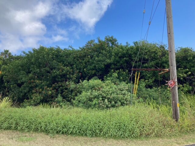 Property Photo:  Kaulua St  HI 96772 