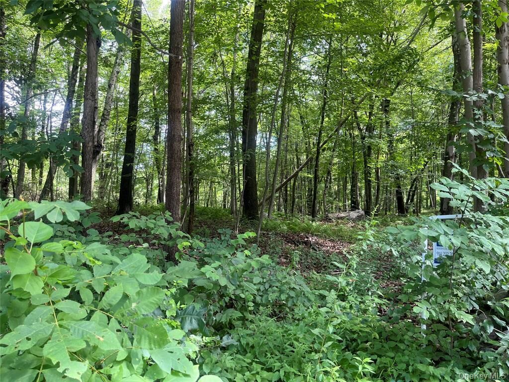 Property Photo: 34 McManus Road S NY 12563