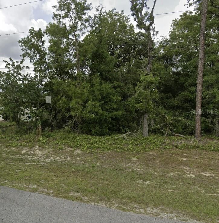 Property Photo: Lot 4 SW 155 Place FL 34473
