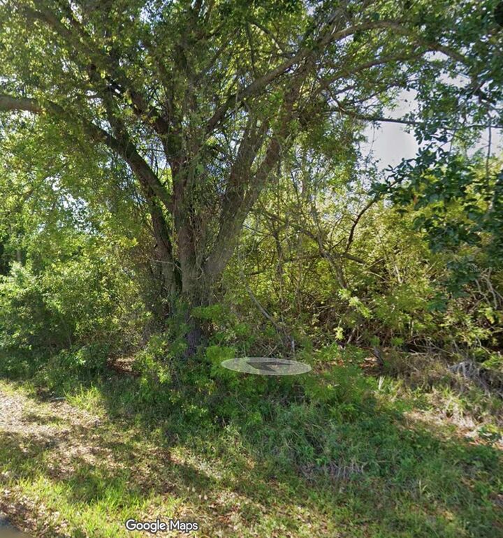 Property Photo:  23215 Stelling Avenue  FL 33980 