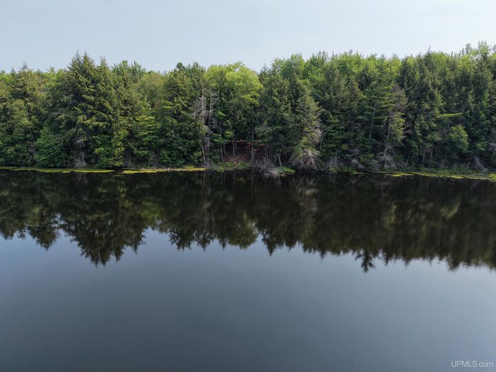 Property Photo:  13999 County Road 440 Road  MI 49895 