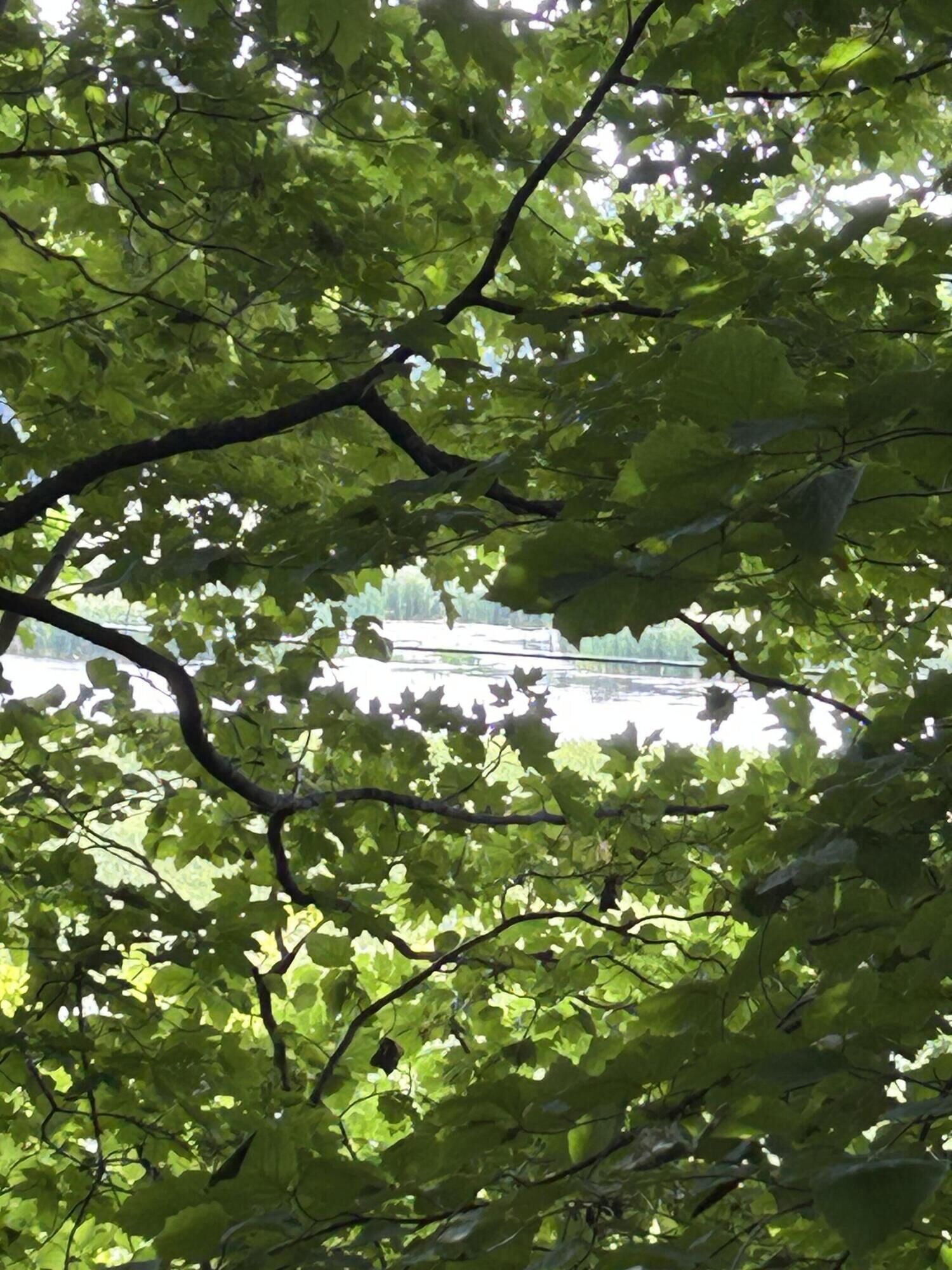 Property Photo: Longbridge West Lot 9 MI 49449
