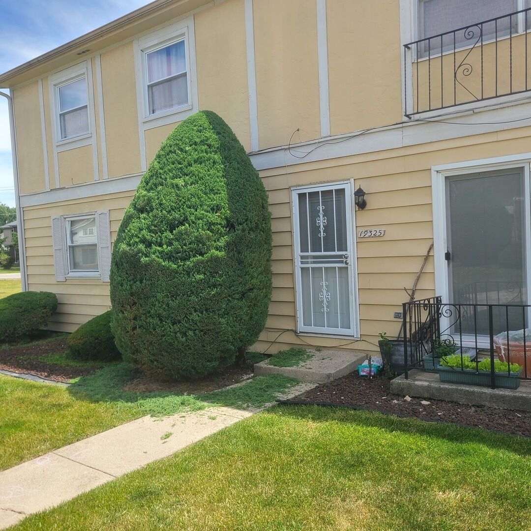 Property Photo:  19325 Oakwood Avenue  IL 60478 