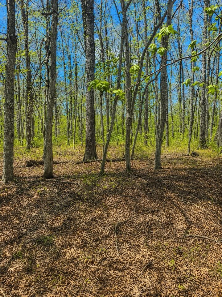 Property Photo: 0 Doe Creek Lake Dr TN 38583