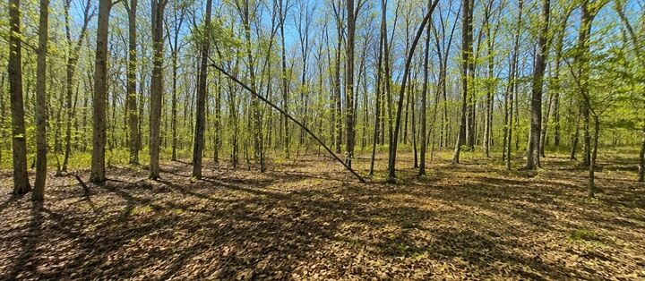 Property Photo:  0 Doe Creek Lake Dr  TN 38583 