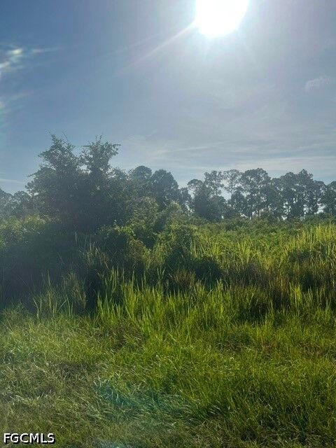 Property Photo: 819 Anaconda Avenue S FL 33974