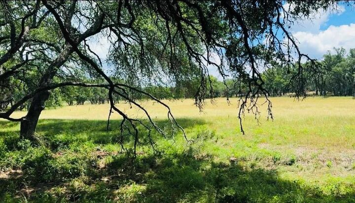 Property Photo:  Lot 26 Swiss Ranch Rd  TX 78663 