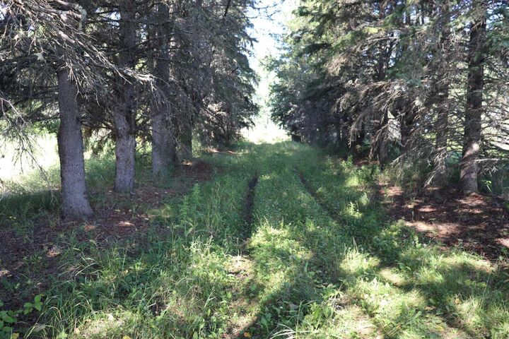 53209 Range Road 93 — photo 1