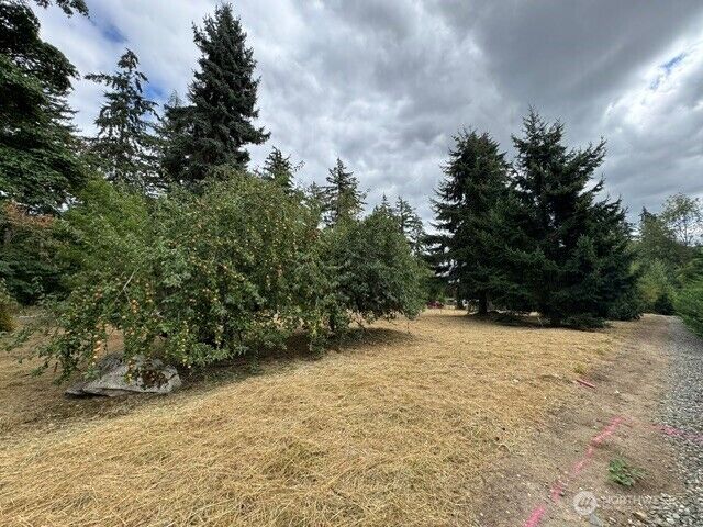 Property Photo:  36852  52nd Avenue S C-N  WA 98001 