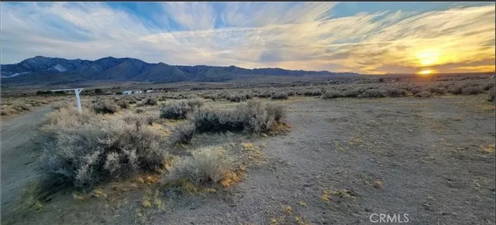 Property Photo: 0 Alamo CA 92356