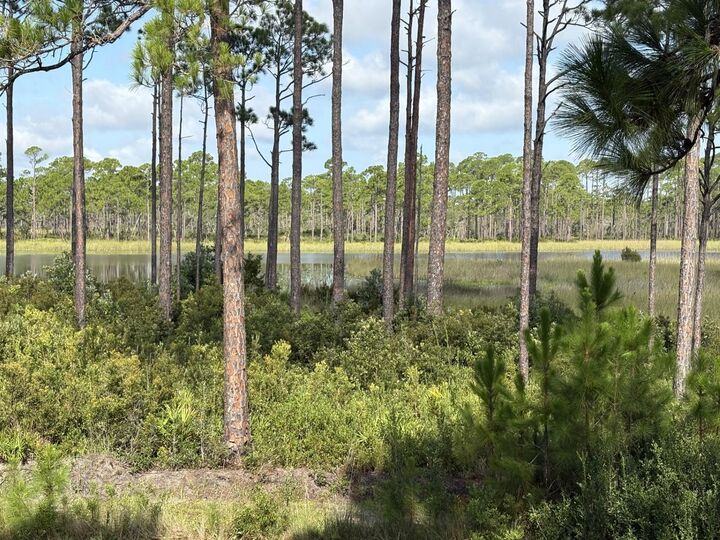 Property Photo: 4 Rainey Trail Trail FL 32346