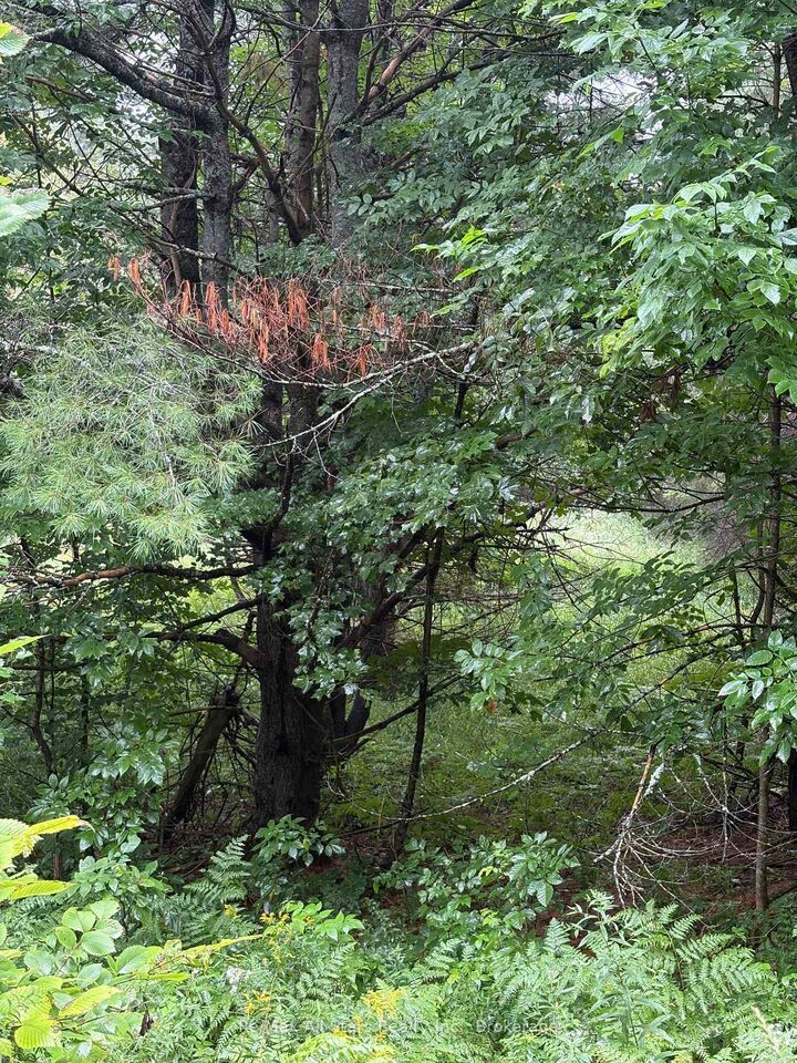 Property Photo:  958 North Mary Lake Road  ON P1H 1S4 