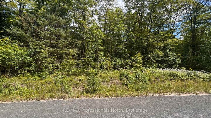 0 Glamor Lake Road — photo 1