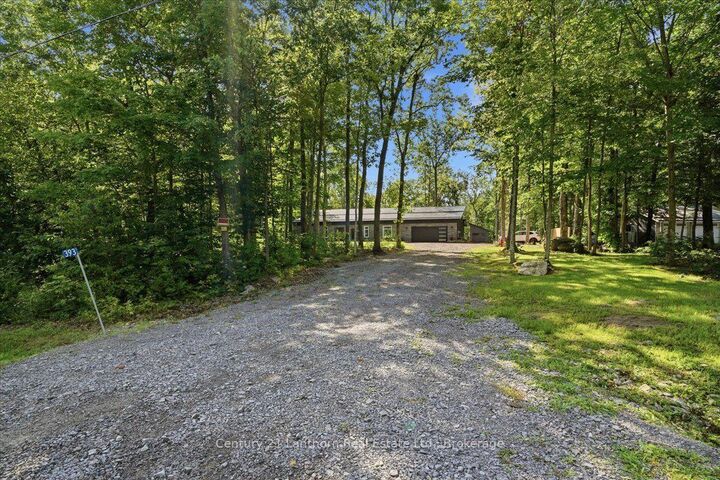 393 Wood Road — photo 1