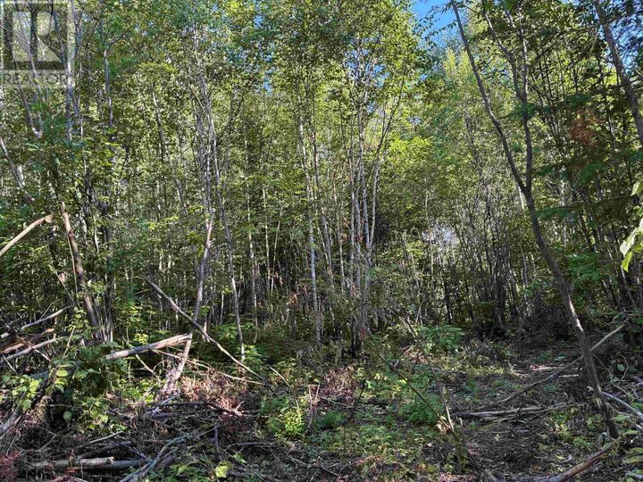 Property Photo:  241 Cloud Lake Rd  ON P7L 0A8 