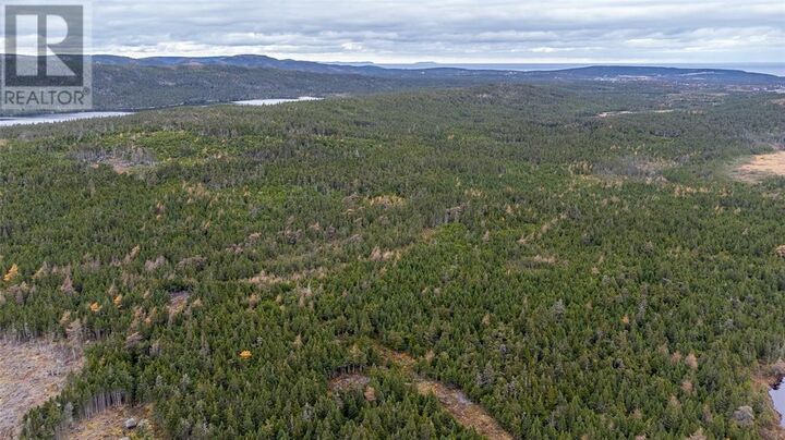 Property Photo: 0 Medalsis Pond Road NL A1K 1C9