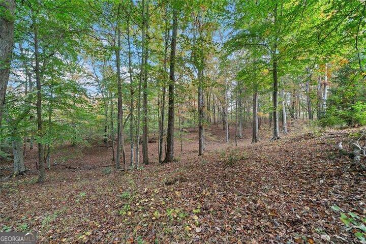 Property Photo:  0 Ammons Drive  GA 30183 