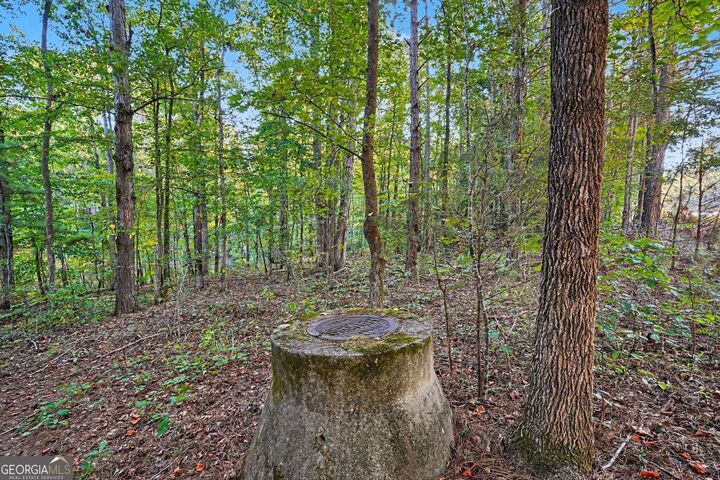 Property Photo:  0 Locust Road  GA 30248 