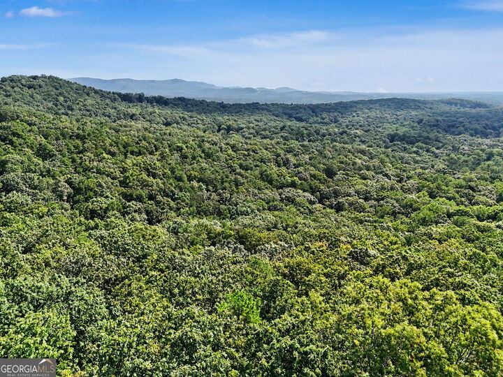 Property Photo:  0 Piedmont Mountain Road  GA 30523 