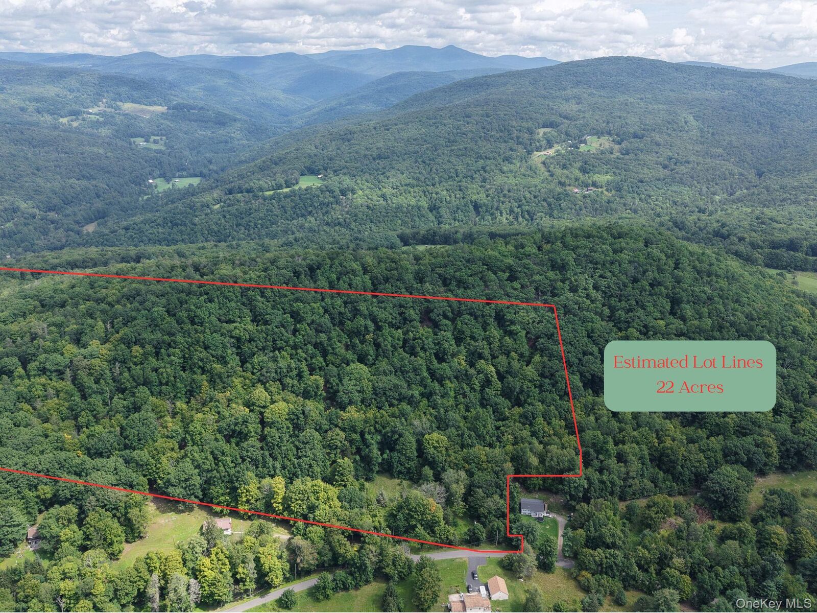 Property Photo:  Twinshaven Road  NY 12765 