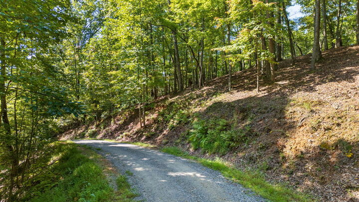 Property Photo:  Lot 159 Tracks Hollow  NC 28906 