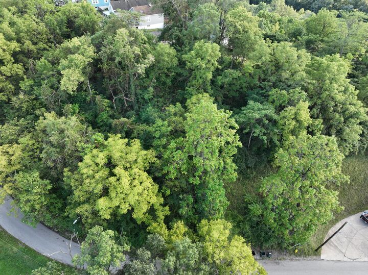Property Photo:  59 Observation Avenue  KY 41071 