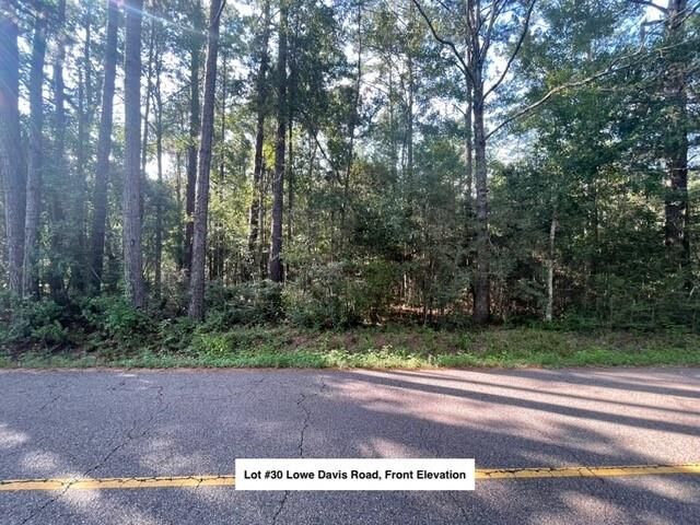 Property Photo: Lot #30 Lowe Davis Road LA 70435