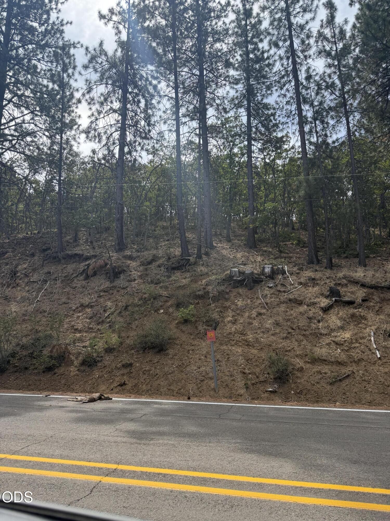 Property Photo:  13099 Old Hwy 99 S  OR 97520 