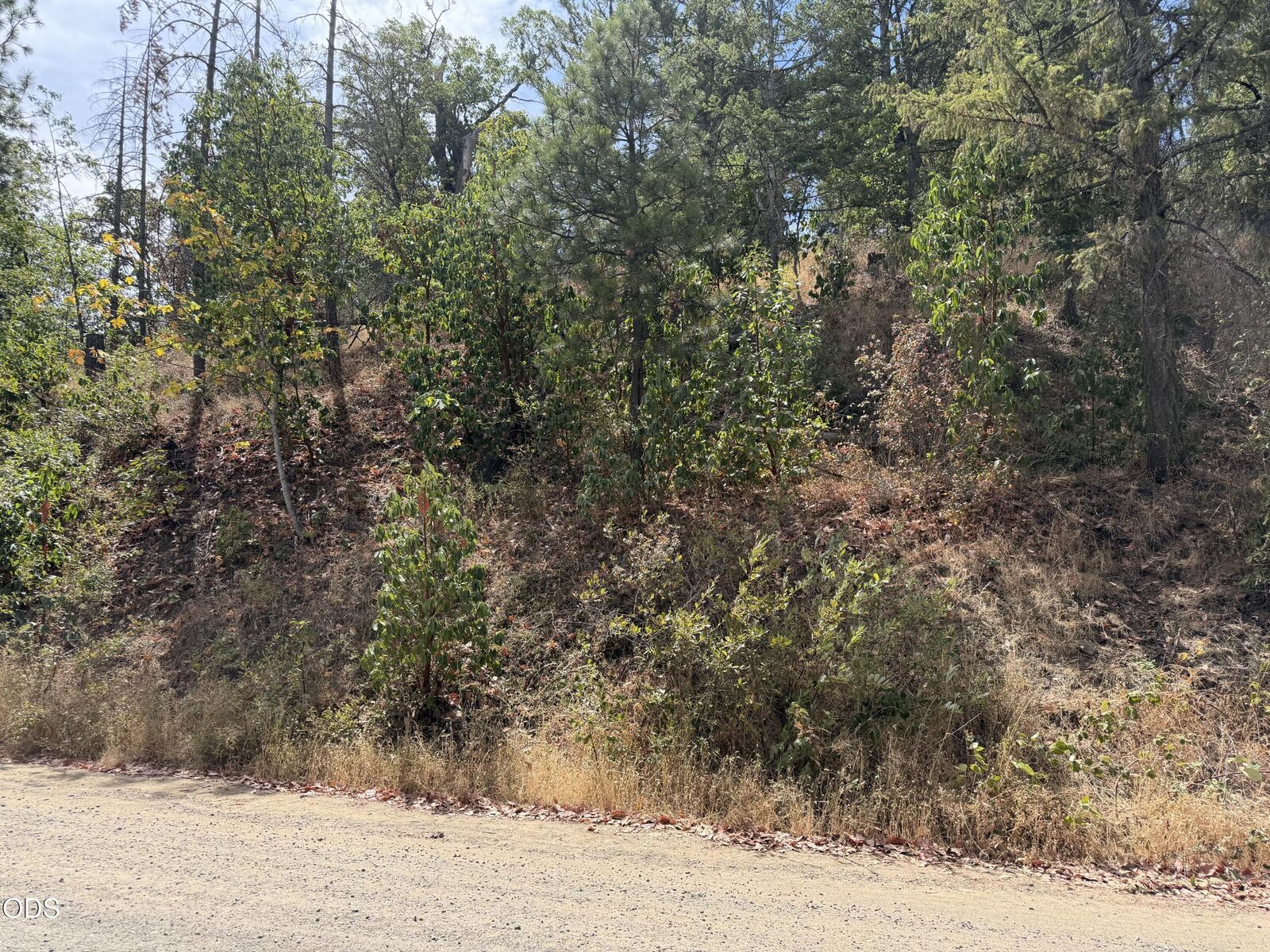 Property Photo: Timberlake Drive OR 97520