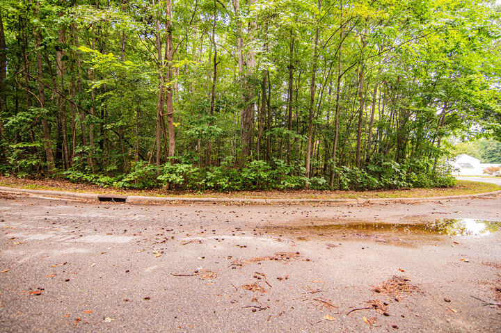 Property Photo:  Lot 14C Downs Brook Dr  NC 27870 