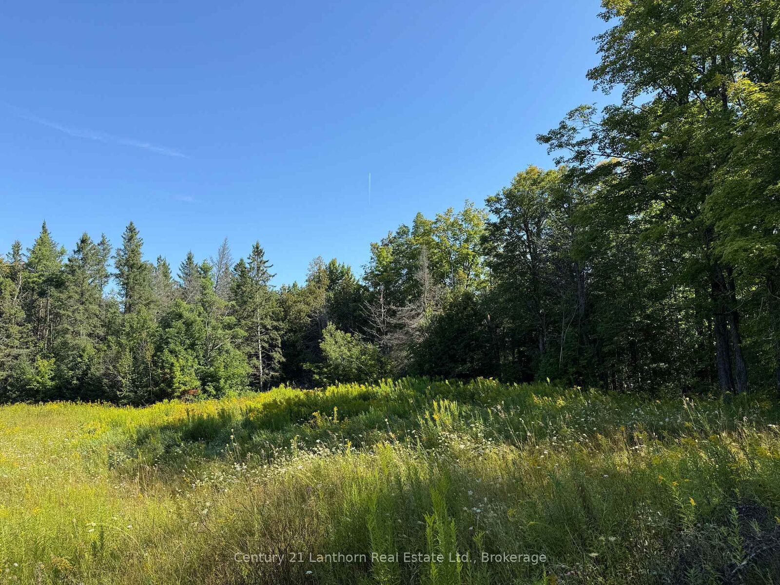 Property Photo:  885 Cleveland Road  ON K0K 1Y0 