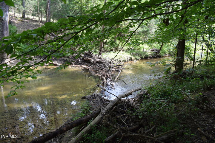 Property Photo:  613 Tomahawk Drive  TN 37664 